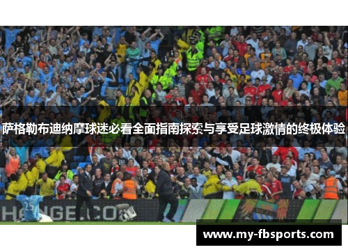 萨格勒布迪纳摩球迷必看全面指南探索与享受足球激情的终极体验
