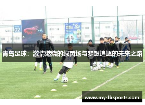 青岛足球：激情燃烧的绿茵场与梦想追逐的未来之路