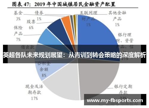 英超各队未来规划展望：从青训到转会策略的深度解析
